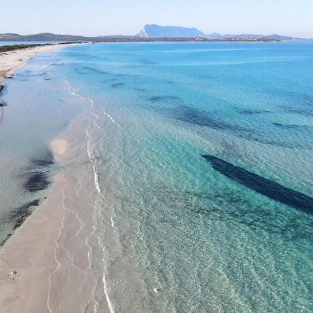 Iss Travel, Pedra Rosa 2 Bedroom Apartments With Private Terrace And Air Conditioning San Teodoro  Dış mekan fotoğraf